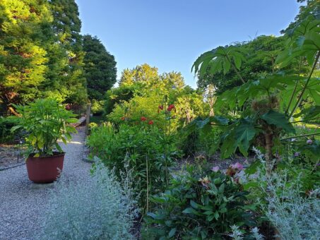 Bryngwyn Hall garden