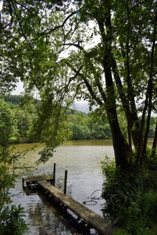 Bryngwyn Hall lake view