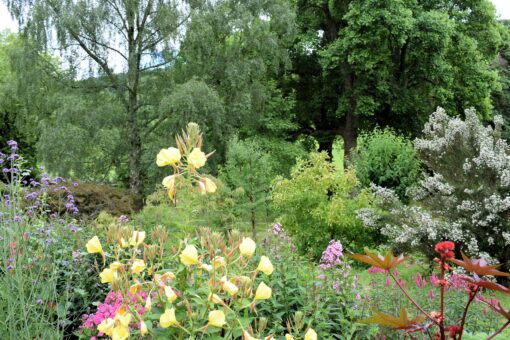 Bryngwyn Hall east border