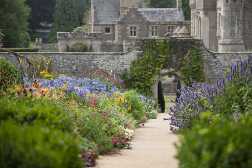 Abbotsford grounds and flowers