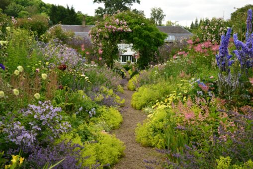 Carolside gardens and greenhouse