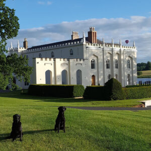 Combermere North Wing for Brides and Grooms, with dogs