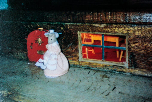 Dalemain Mansion staircase mouse door