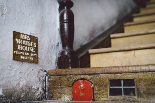 Dalemain Mansion staircase mouse door staircase
