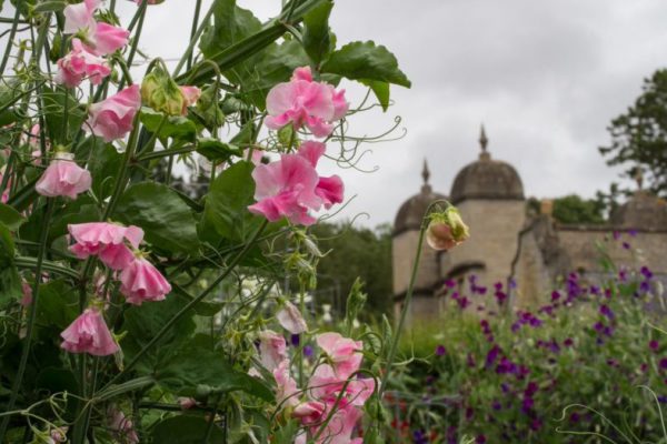 Easton Walled Gardens in Lincolnshire