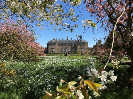 Marchmont House Scottish wildflowers
