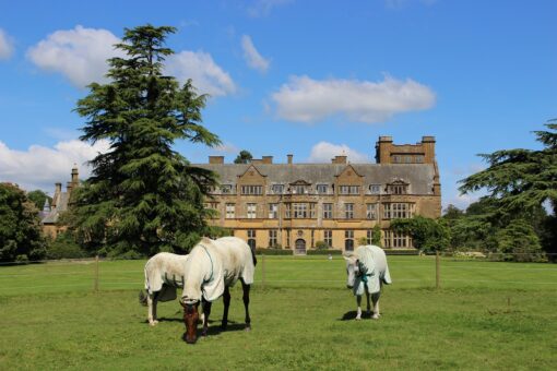 Minterne Gardens in Dorset