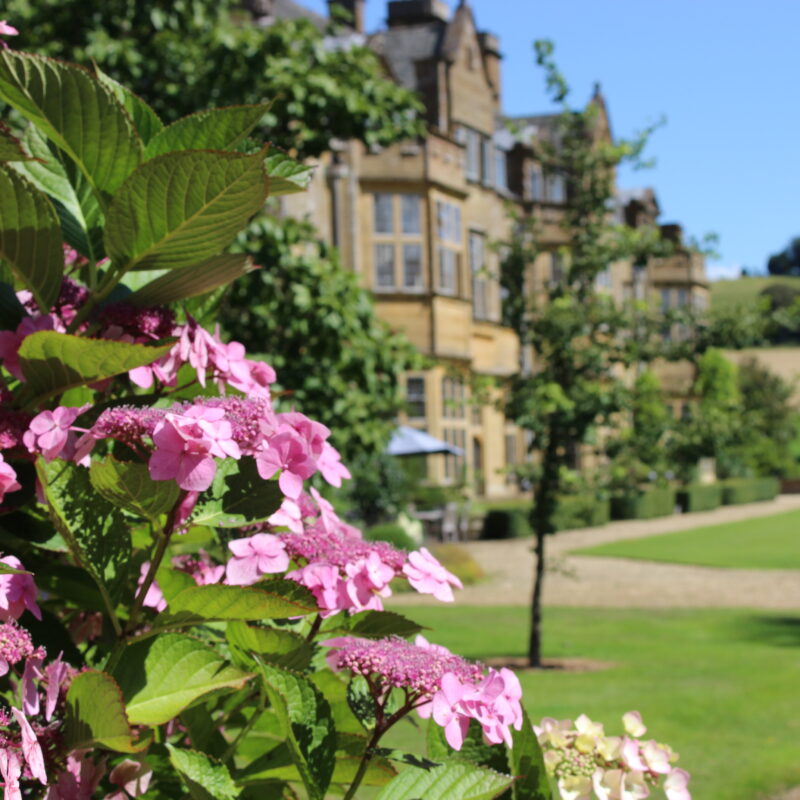 Minterne Gardens in summer