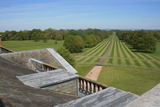 The Avenue at Chillington Hall