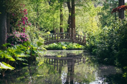 Winterbourne House and Gardens bridge