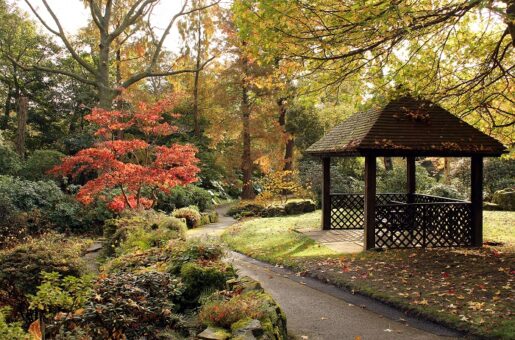 Winterbourne House and Gardens Japanese Teahouse