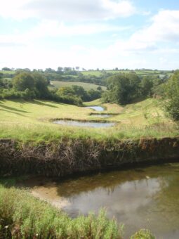 Shilstone House landscape