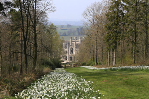 Lowther Castle Patte d'Oie 15961