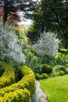 Easton Walled Garden 18