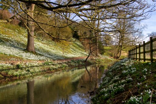 Easton Walled Garden 3