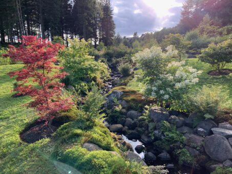 Summer evening at Cowden Garden