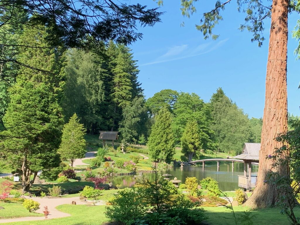 Filming image - Cowden Garden