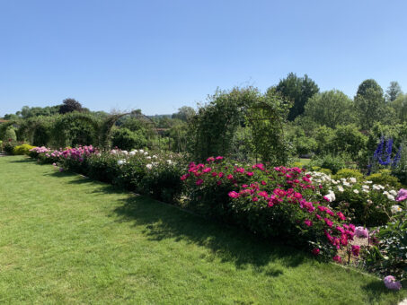 Houghton Lodge Gardens