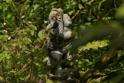 Morland House and gardens