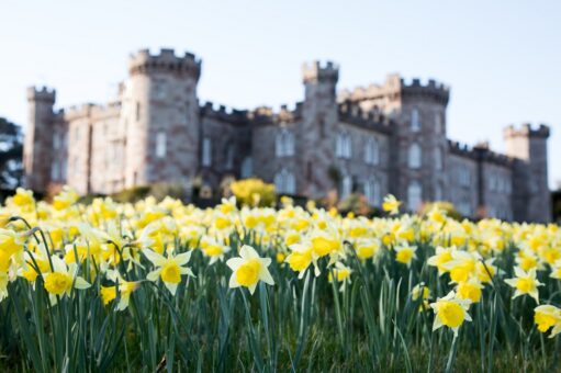 Cholmondeley Castle Gardens