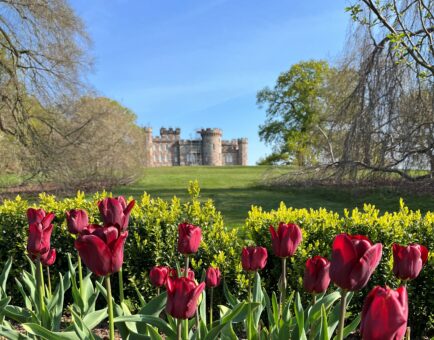 Cholmondeley Castle Gardens