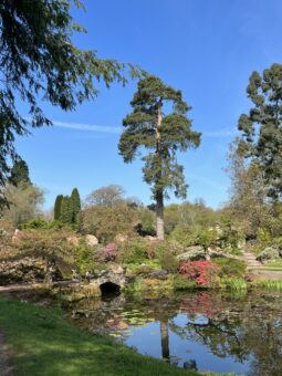 Cholmondeley Castle Gardens
