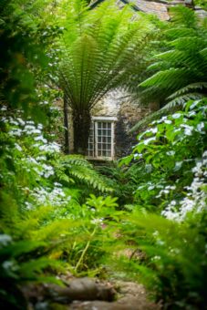 Abbotsbury Subtropical Gardens