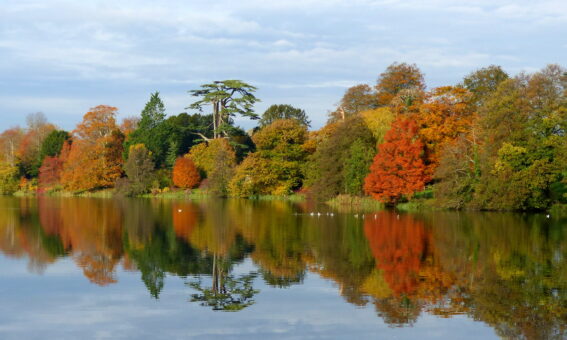Sherborne Castle