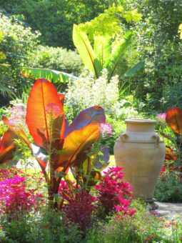 Abbotsbury Subtropical Gardens