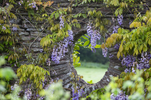 Hestercombe House and Garden