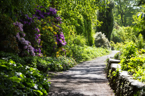 Hestercombe House and Garden