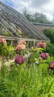 Luton Hoo Walled Garden
