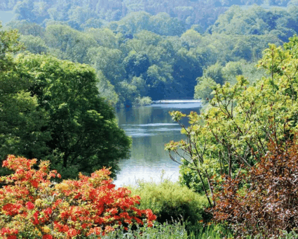 Monteviot House and Garden