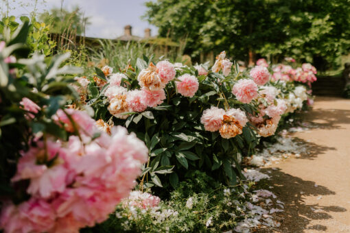 Riverhill Himlayan Gardens