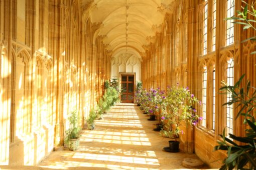 Forde Abbey