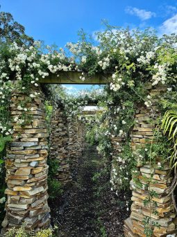 Monteviot House Gardens