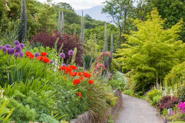 Plas Cadnant Hidden Gardens