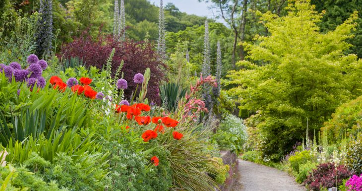 Plas Cadnant Hidden Gardens