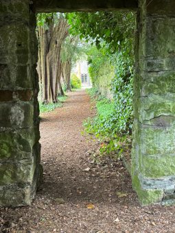 Morland House and Gardens