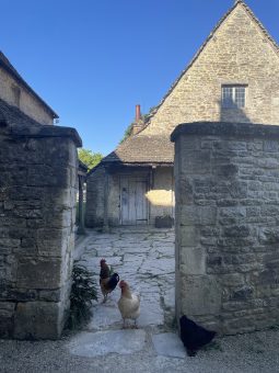 Cogges Manor Farm